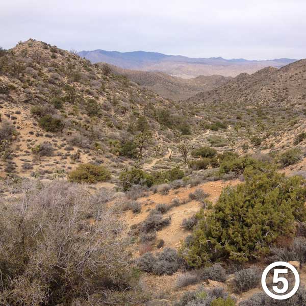 Black Rock hike photo #5