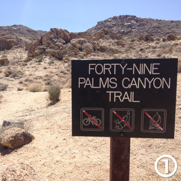 Fortynine Palms Oasis hike photo #1