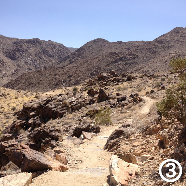 Fortynine Palms Oasis hike photo #3