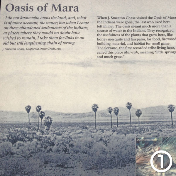 Oasis of Mara hike photo #1