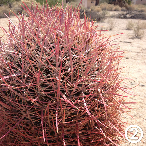 Oasis of Mara hike photo #2