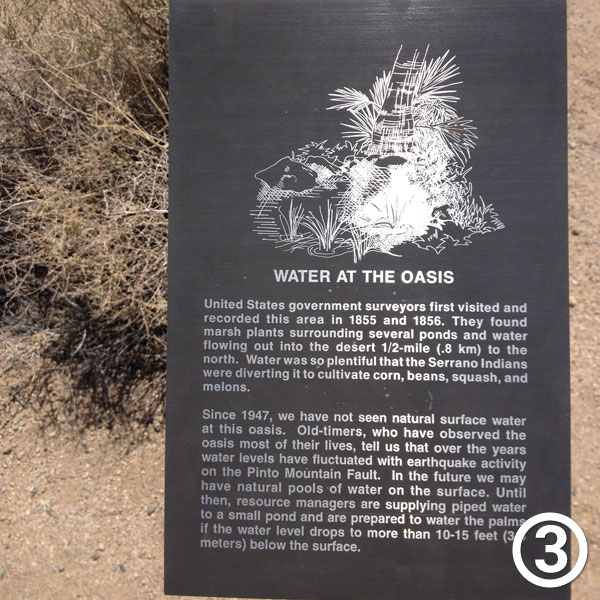 Oasis of Mara hike photo #3