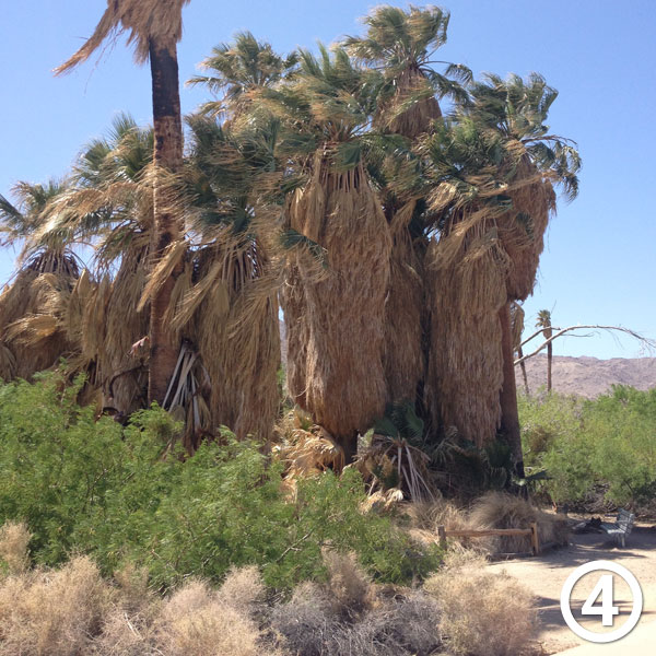 Oasis of Mara hike photo #4