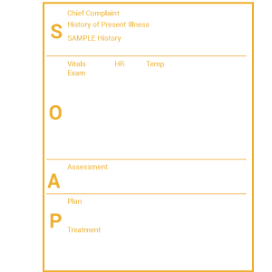 SOAP Notes