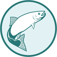 Salmon Icon