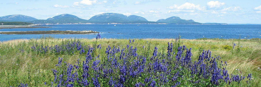acadia national park