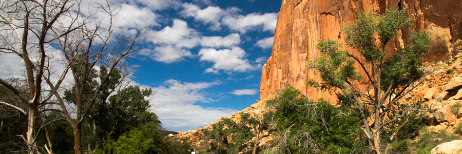 capitol reef national park