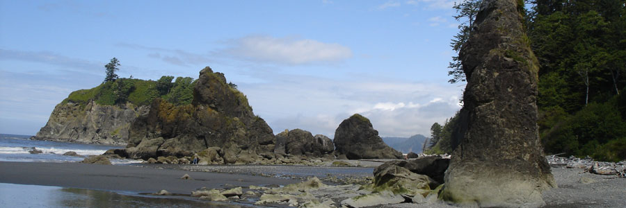 olympic national park