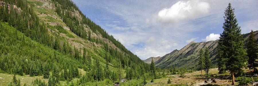 state forest state park colorado
