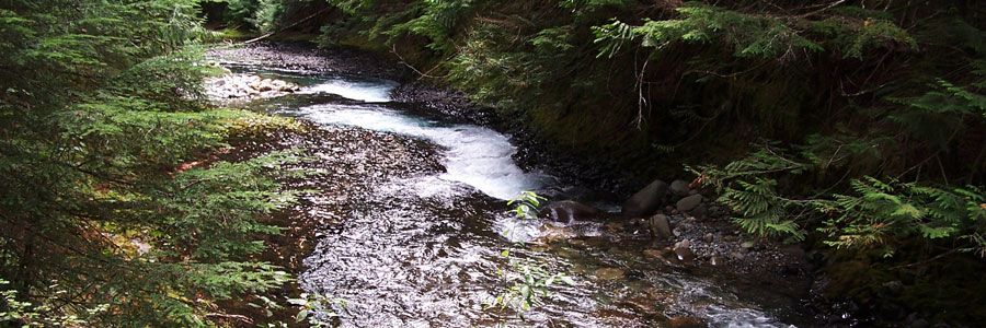 stratacona provincial park