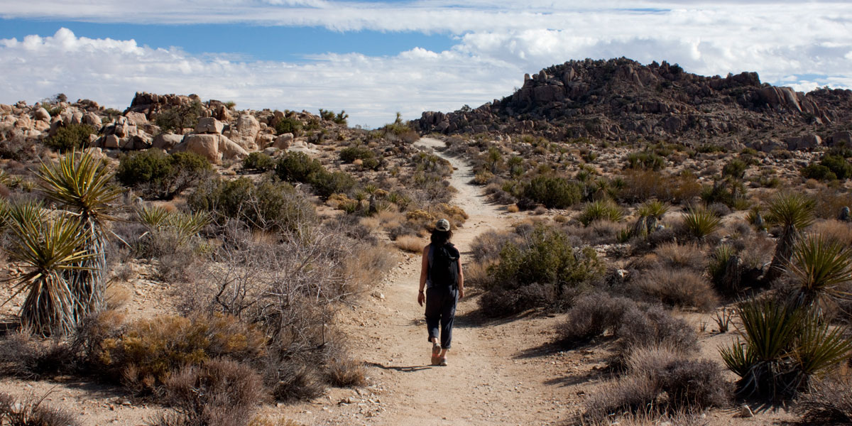 Pine City Trail