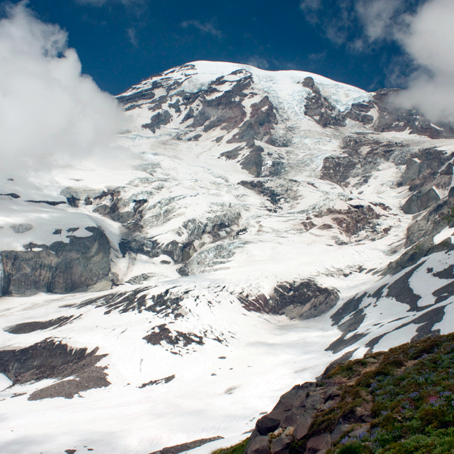 Mount Rainier from Paradise