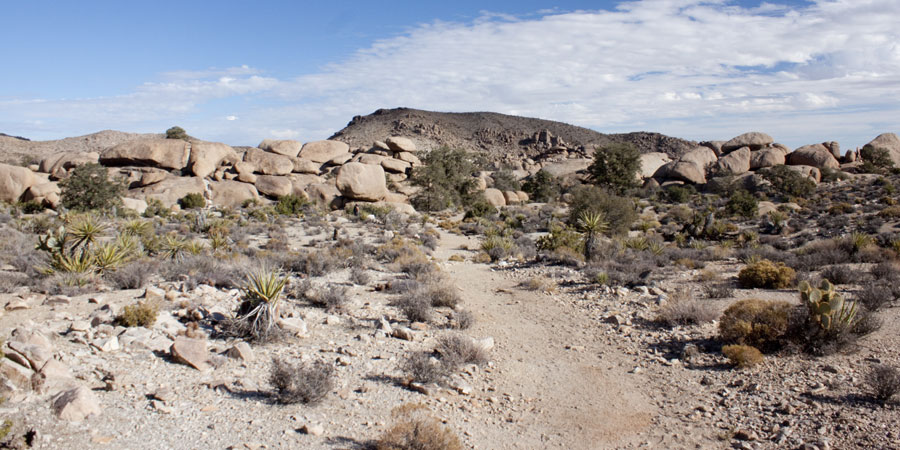 Overlooking Pine City